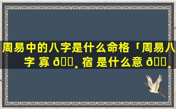 周易中的八字是什么命格「周易八字 寡 🌸 宿 是什么意 🕸 思」